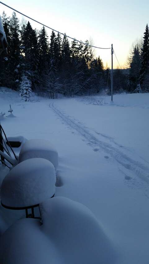 Ski tracks up to my house